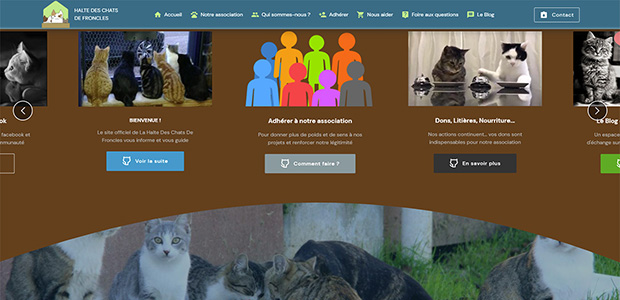 Halte des Chats de Froncles - Site Web